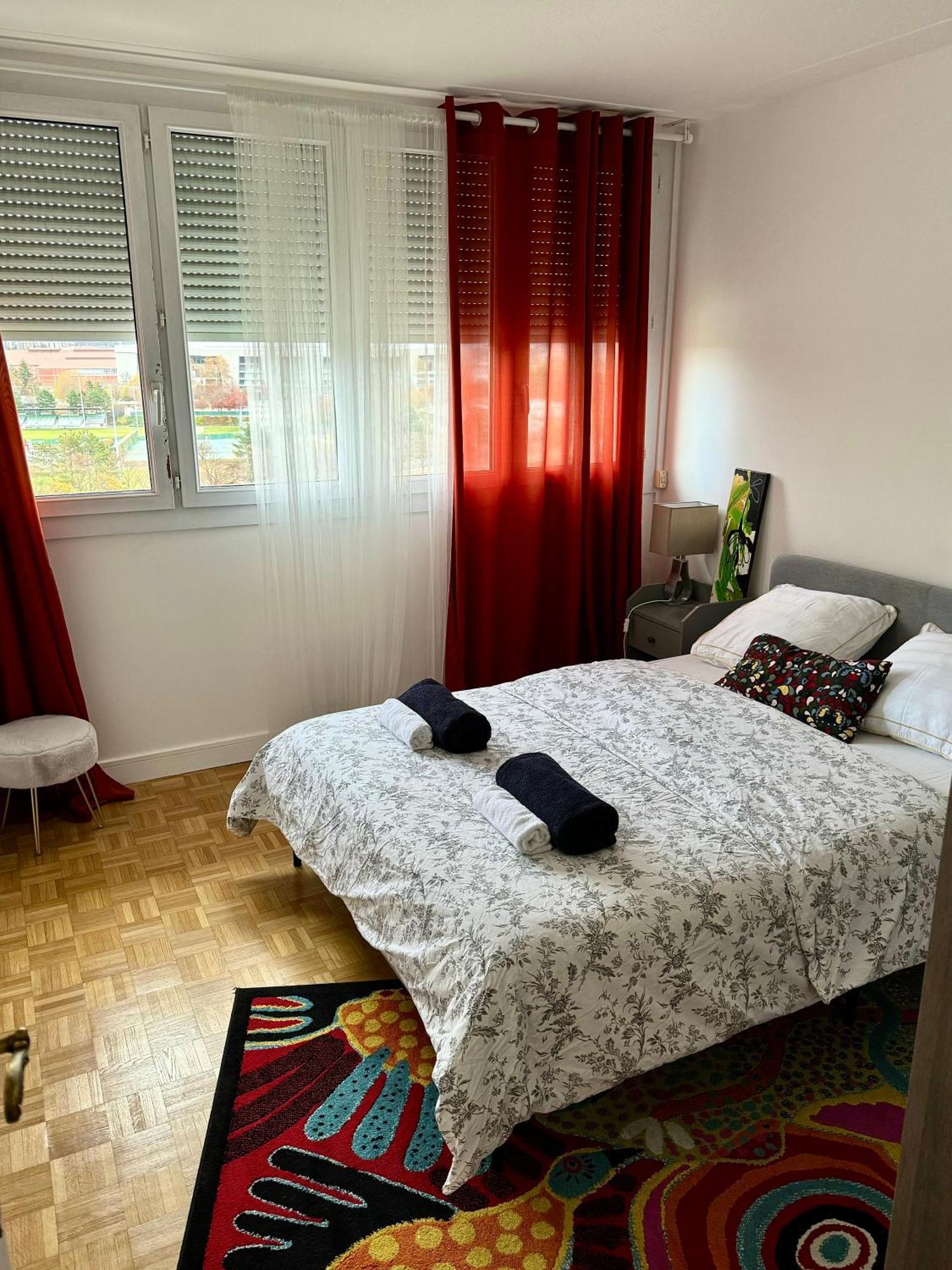 Bergson Top - Appart 80M2, 2 Grandes Chambres, Entierement Renovee Et Equipee, Lumineux, Wifi, Balcon, Calme, Vue Imprenable Saint-Etienne  Exterior photo